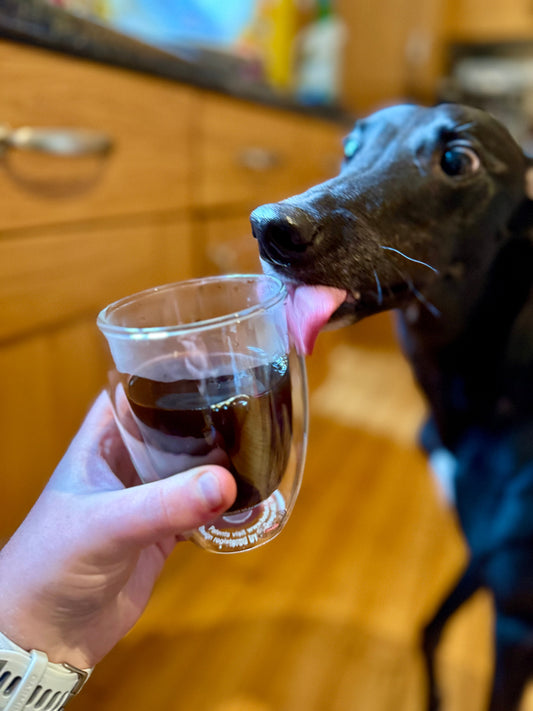 Brew Guide: The Perfect Cafetière/ French Press