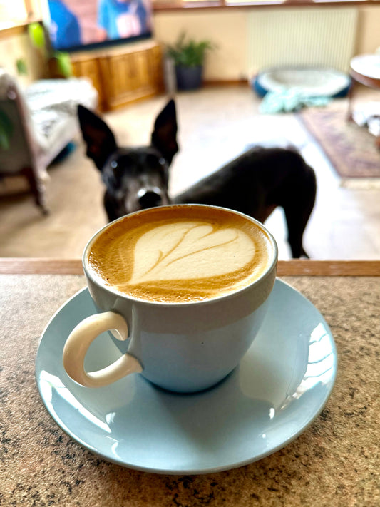 So... What Kind of Coffee Drinker Are You?