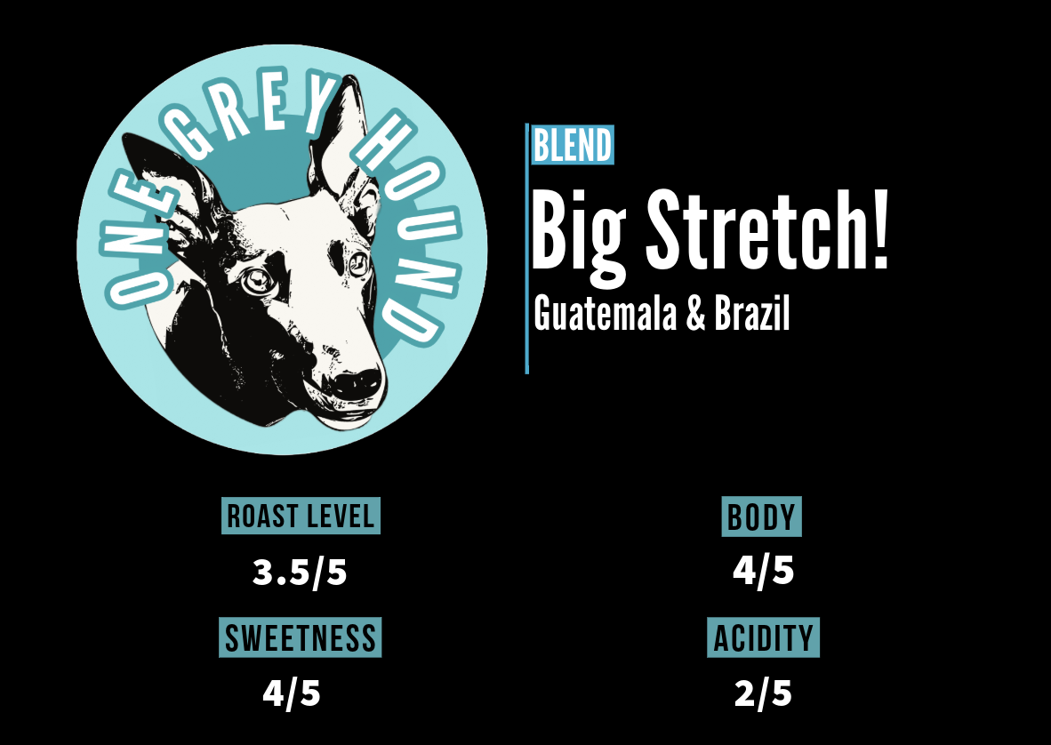Big Stretch! coffee blend with notes of pecan and maple, supporting rescued greyhounds from Guatemala and Brazil.
