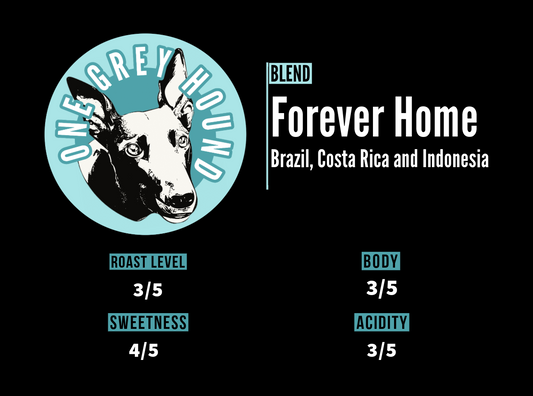 Forever Home